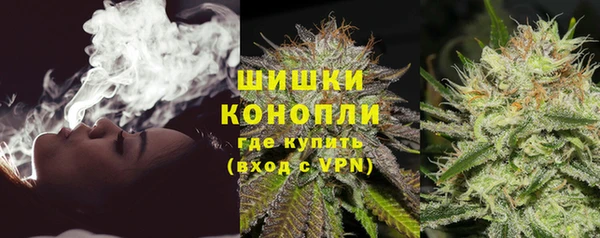 spice Карпинск