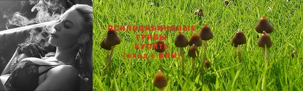 таблы Карталы
