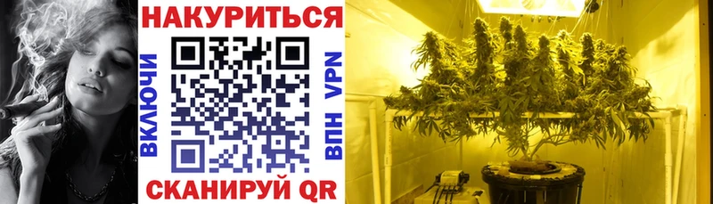 гидра Кораблино Бошки Шишки индика где найти